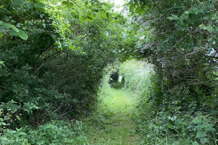 image9